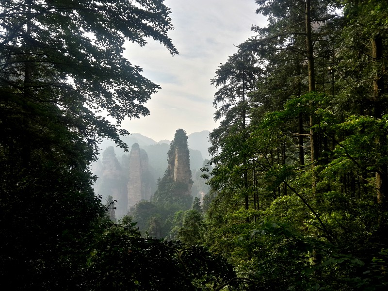 Sand-stone pillars through the forest