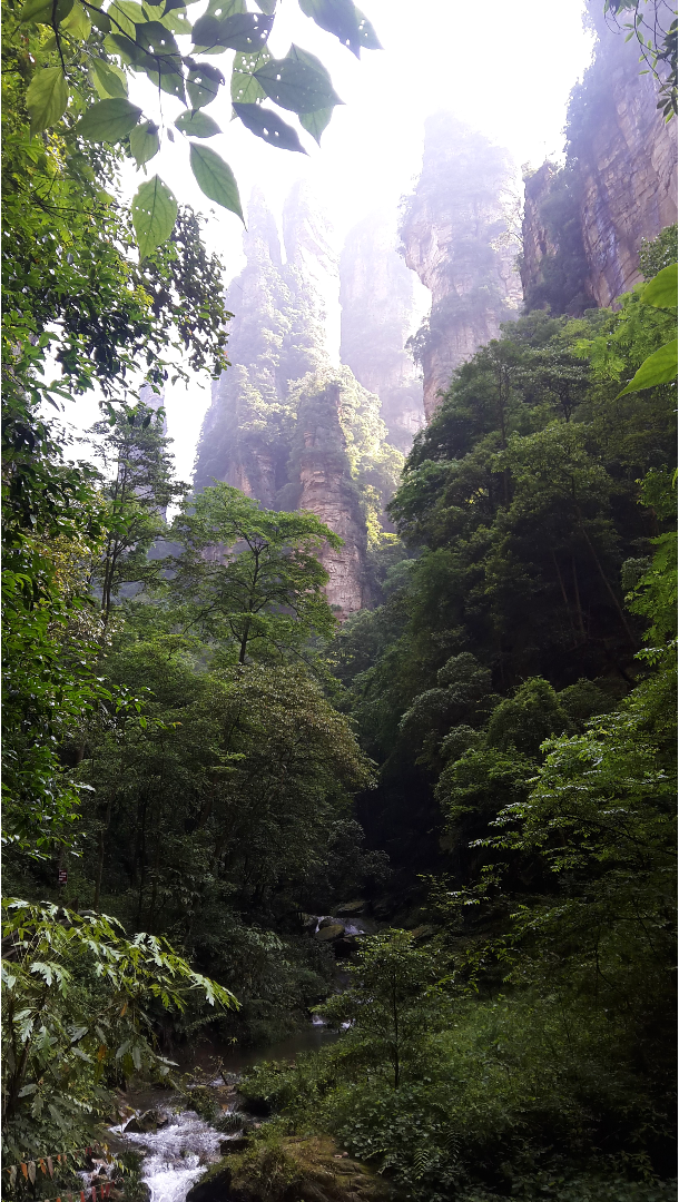 Sandstone pillars through the forest 