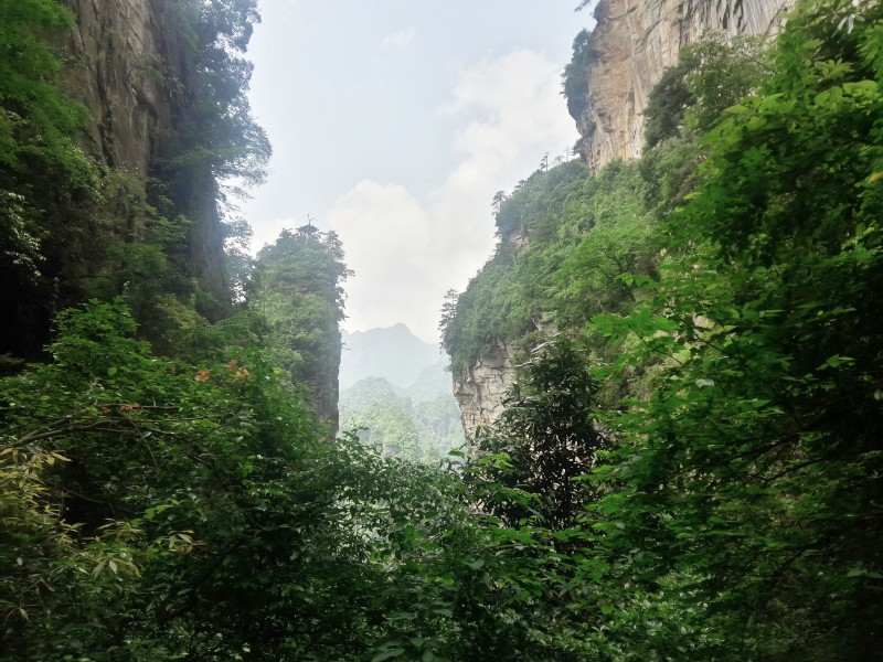 Halfway up the pillar