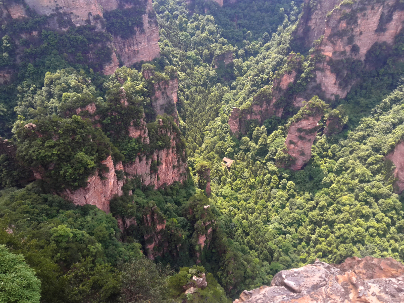 The forste far below me